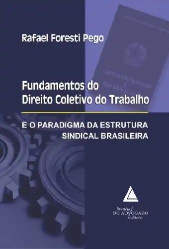 Fundamentos Do Direito Coletivo Do Trabalho E O Paradigma Da Estrutura