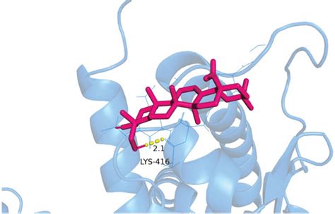 Visualization Of Protein Ligand Interaction Docking Results A The