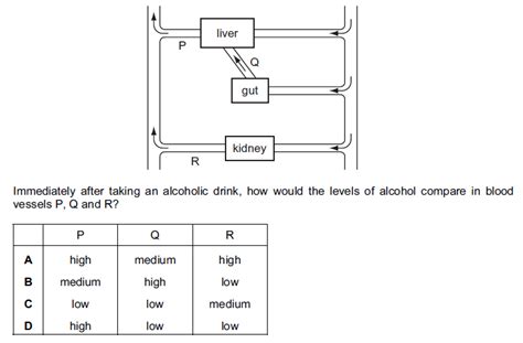 iGCSE Biology (0610)-9.3 Blood vessels - iGCSE Style Questions Paper 1