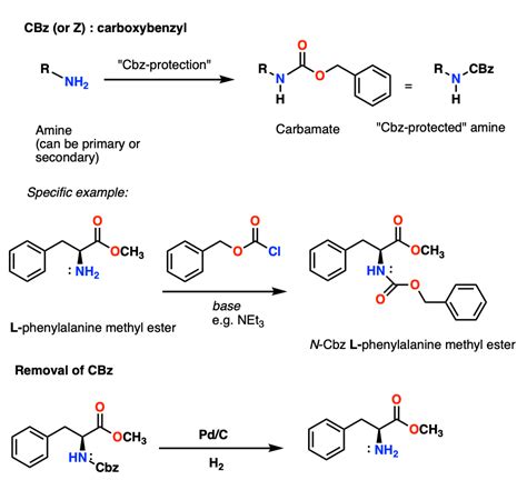 Protecting Groups For Amines Carbamates Master Organic Chemistry