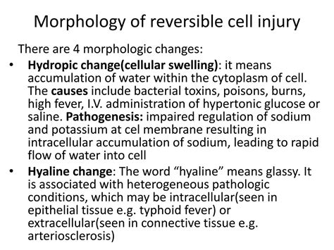 Solution Morphology Of Cell Injury Studypool