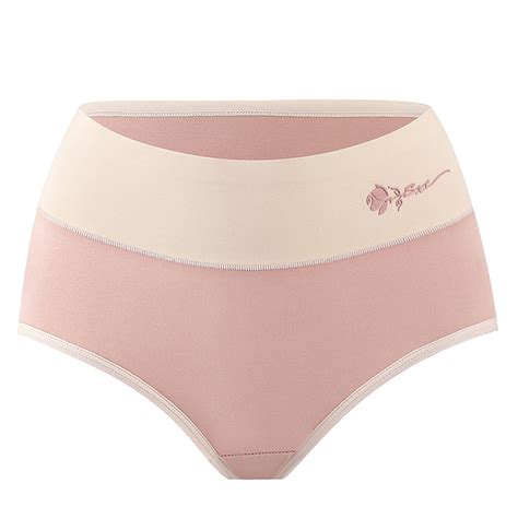 Ytianh Plus Size Underwear High Waist Womens Panties Belly Retraction