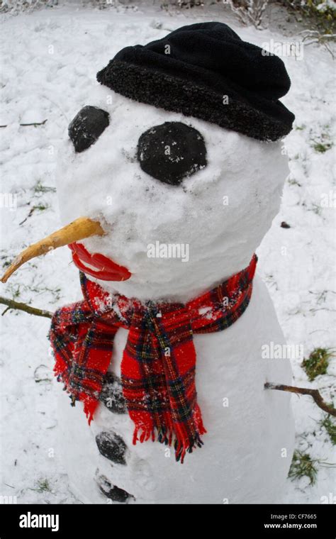 Snowman with coal eyes and tartan scarf Stock Photo - Alamy