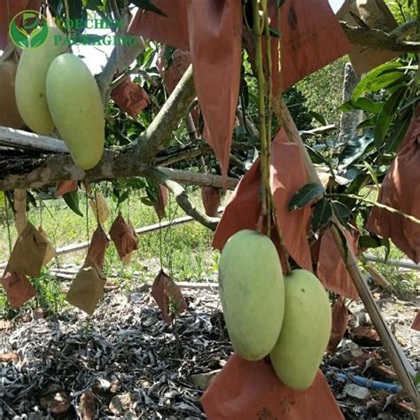 Carbon Black Mango Fruit Growing Bag Durable Paper Bags For Banana