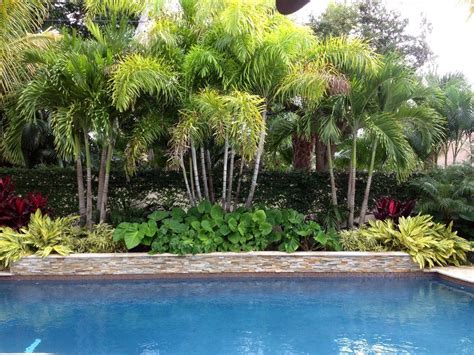 pool landscaping with palm trees - Tianna Minton