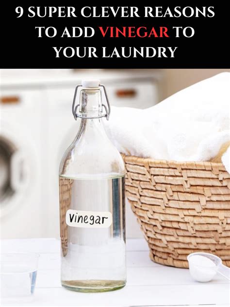 9 Super Clever Reasons To Add Vinegar To Your Laundry Archziner