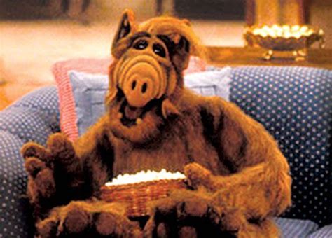 Alf Laughing At Tv Program With Popcorn On Lap Alf Tv Programmes