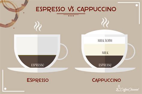 Espresso vs Cappuccino: What's the Difference? - Coffee Affection