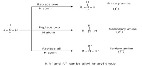 Amines-Revision Notes