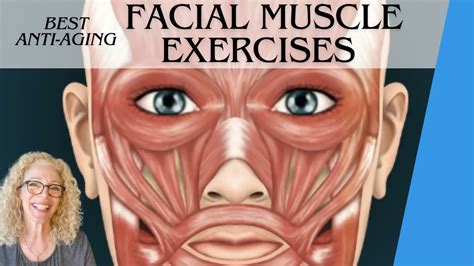 Defy Aging Naturally Effective Facial Muscle Exercises To Lift Firm