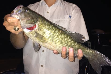 How to Go Fly Fishing in Texas: The Complete Guide