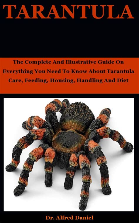 Buy Tarantula The Complete And Illustrative Guide On Everything You