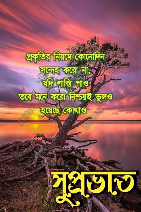 inspirational good morning messages good morning message  bengali