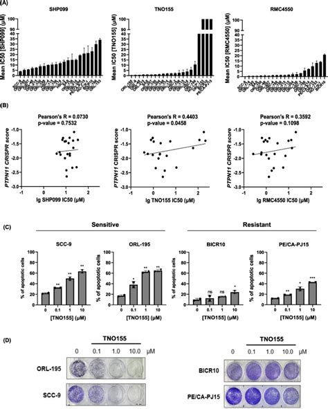 Tno Is A Selective Shp Inhibitor To Target Ptpn Dependent Oral