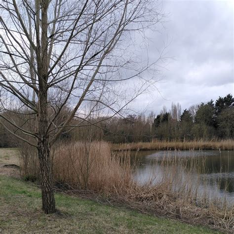 Pond By The Sketchley Brook A J Paxton Cc By Sa Geograph