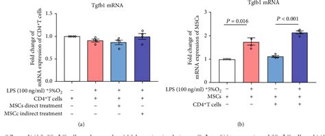 PDF Mesenchymal Stem Cell Secreted TGF β1 Restores Treg Th17 Skewing