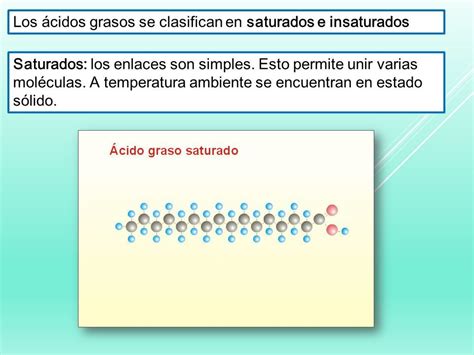 Clase 1 Niveles De Organización Y Biomoléculas InclusiÓn Propiedades Emergentes Ppt Descargar