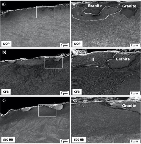 FESEM Cross Sectional Images Of The Wear Surfaces With Close Up Images