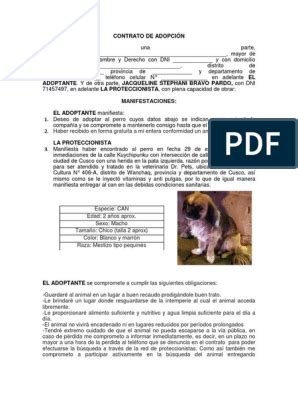 Formato De Receta Medica Para Imprimir Pdf Artofit