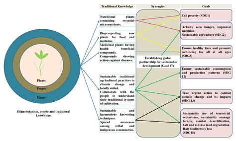 Role of Traditional Ethnobotanical Knowledge and Indigenous Communities
