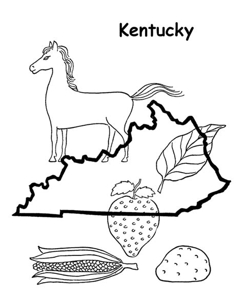 Kentucky State Bird Coloring Pages Coloring Pages