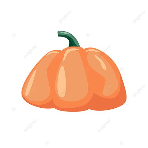 Calabaza Colorida Sobre Ilustración De Vector De Fondo Blanco PNG