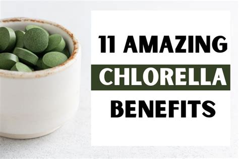 Chlorella Dangers and Side Effects - My Nutrigene