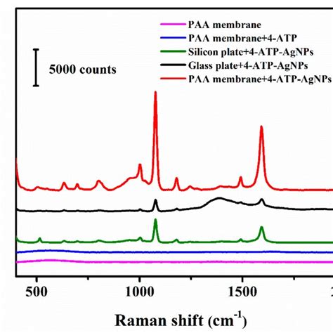 Raman Spectroscopy Measurement On Different Substrates Download Scientific Diagram