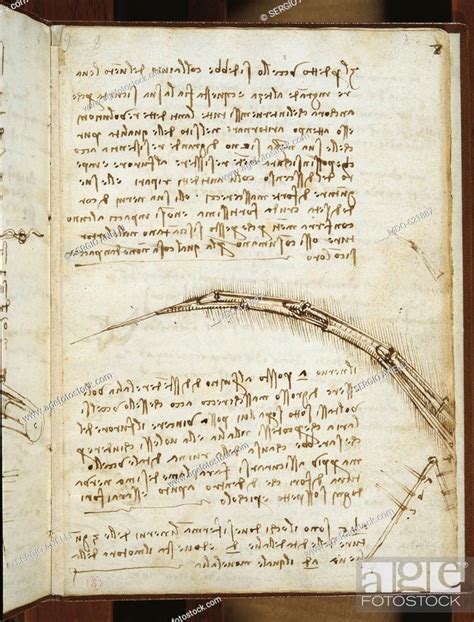 Leonardo Da Vincis Codex On The Flight Of Birds By Leonardo Da Vinci