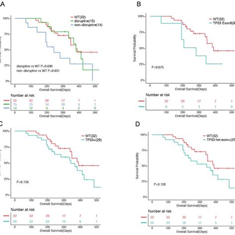 Associations Between Tp53 Mutations And Survival Outcomes In Patients