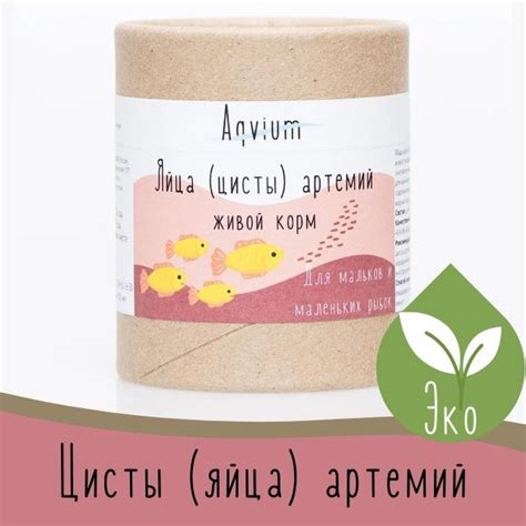 Рачки артемии (Artemia) - описание и жизненный цикл
