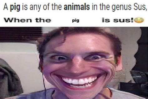 Pig Sus Rjerma985