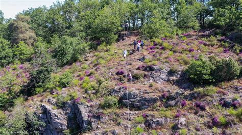 S Minaires Et Incentives En Auvergne Gtr Performance