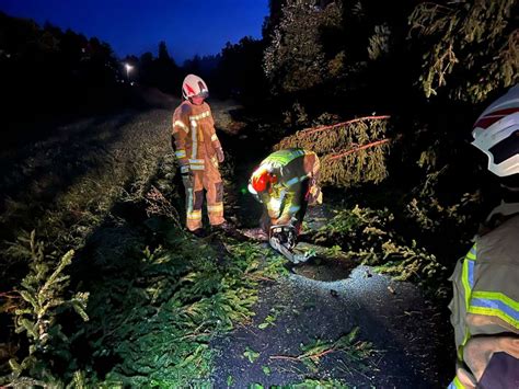 Unwetter bei Schleusingen Baum stürzt auf Bungalow Hildburghausen