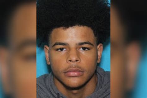 Missing Juvenile Michael Hanible Jr From The 15th District Blotter