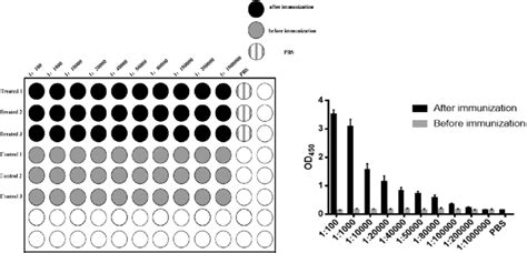 Binding Affinity Determination Of Polyclonal Antibody With Elisa A