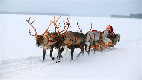 Christmas Reindeer And Sleigh Wallpapers Wallpaper Cave