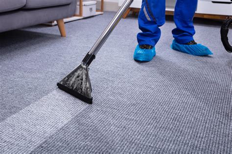 Why You Should Hire A Professional Carpet Cleaner For Your Growing