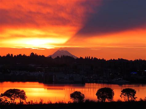 sales tax rate thurston county wa 9