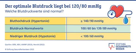 Blutdruckregulation Wie Funktioniert Das