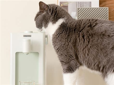 Buydeem S L Instant Hot Water Dispenser Countertop Water Boiler With Temperature And