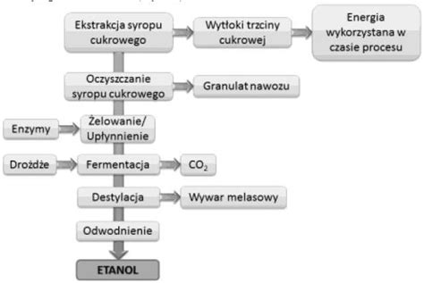 Produkcja Biopaliw Ciek Ych Vademecum Dla Uczni W Technikum