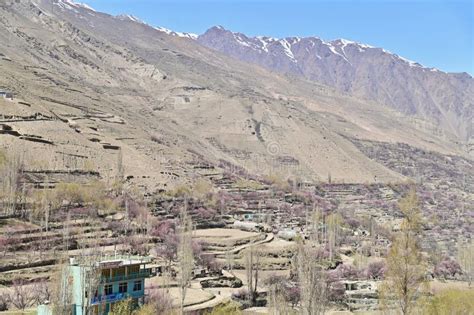 Karakoram Mountains Range and Hopar Valley during Cherry Blossoms ...