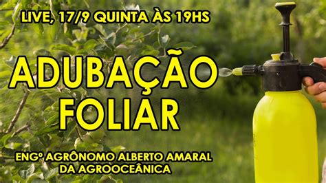 Adubação Foliar Funciona Como Aplicar e Escolher os Adubos Eng