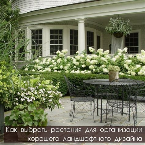 Lilies in the garden design - 73 photo