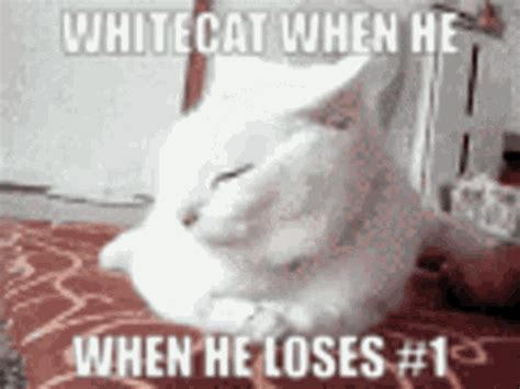 White Cat Osu GIF - WhiteCat Osu One - Discover & Share GIFs