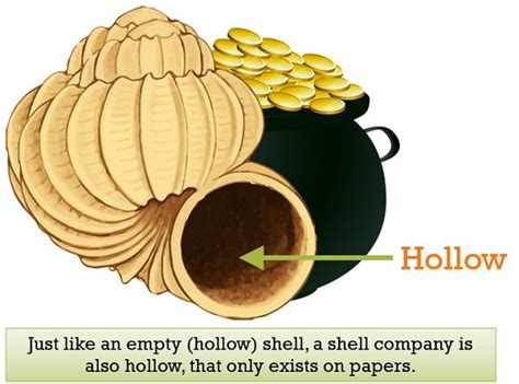 What is Shell Company? Definition, Features and Identification ...