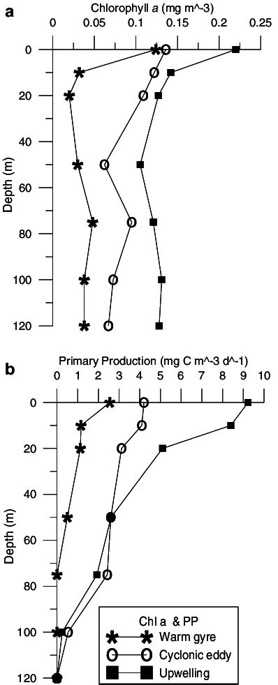 Average Vertical Profiles Of A Chlorophyll A Concentration Mg M À3 Download Scientific