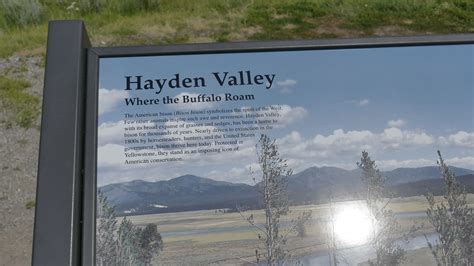 Hayden Valley Yellowstone National Park | Yellowstone national park ...