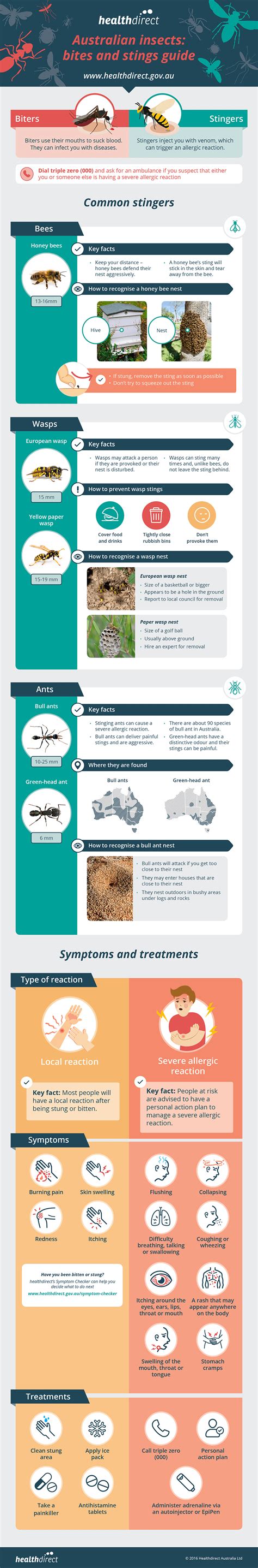 European Hornet Sting Symptoms